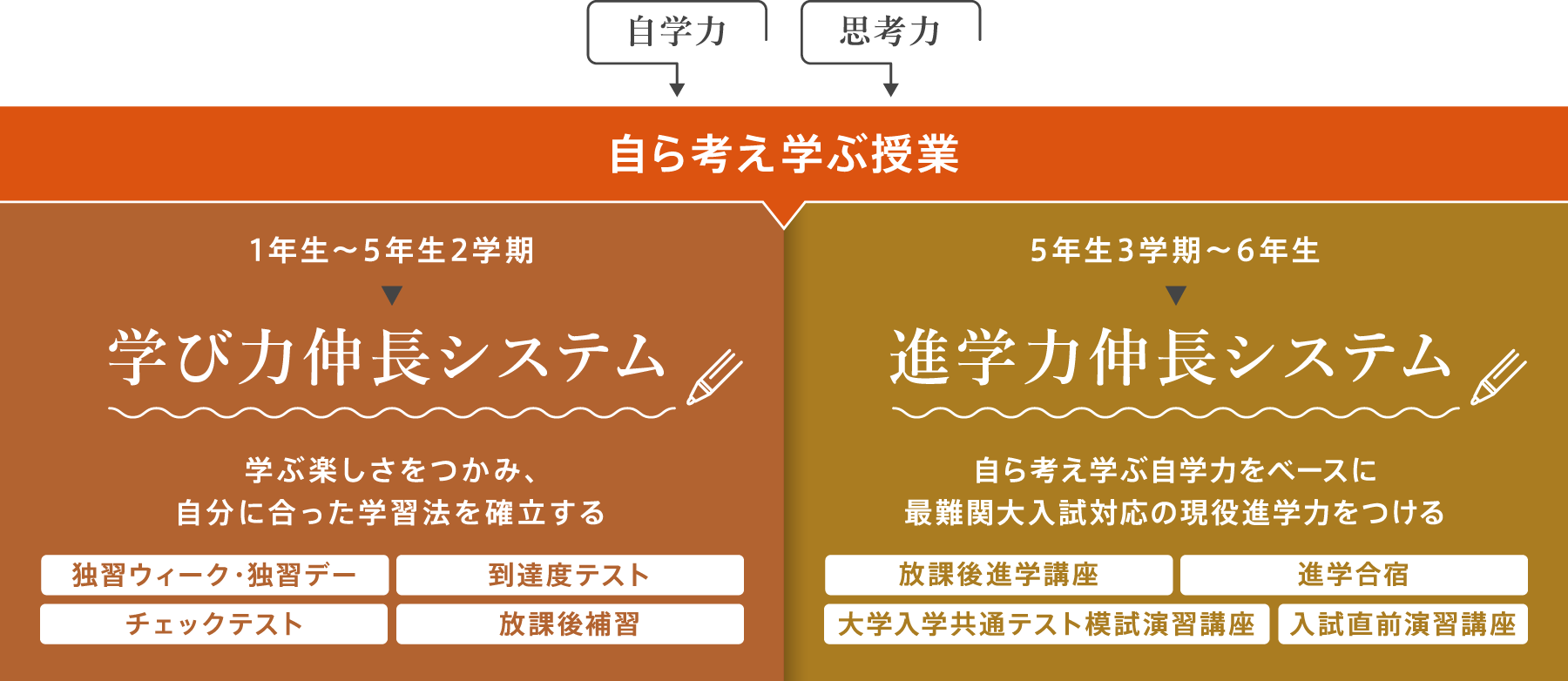 学校完結型の学習環境 | 中学校を受験される方へ | 安田学園中学校